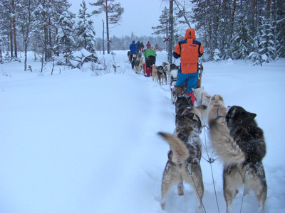 Winter - Hütten -Trekking und Hundeschlittentour (2)
